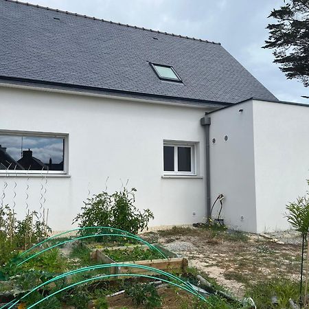 Maison Tamaris avec jardin et clos Quiberon Extérieur photo